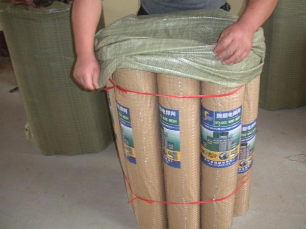 内墙保温电焊网